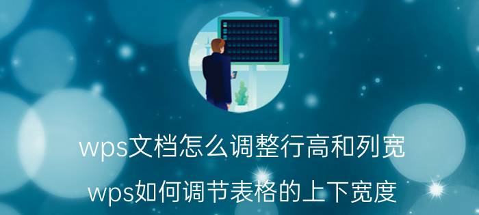 wps文档怎么调整行高和列宽 wps如何调节表格的上下宽度？